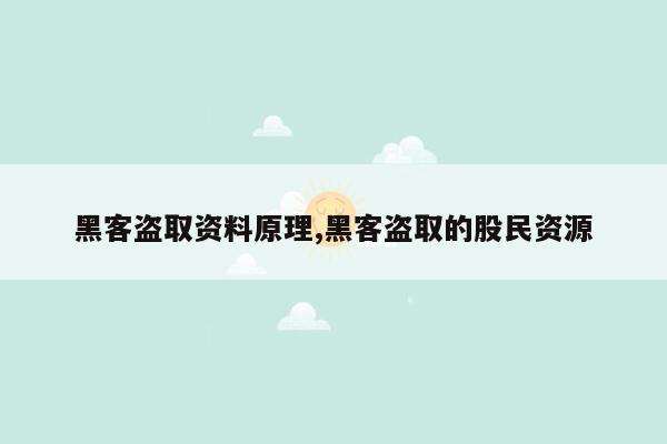 黑客盗取资料原理,黑客盗取的股民资源