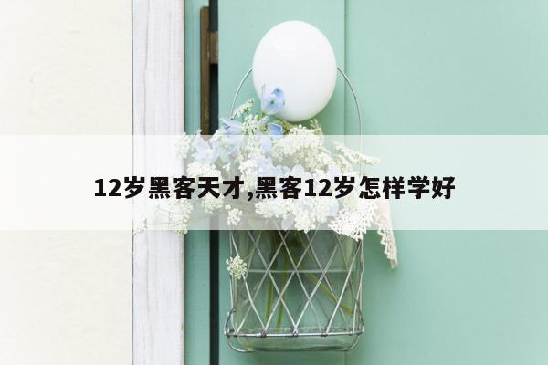 12岁黑客天才,黑客12岁怎样学好