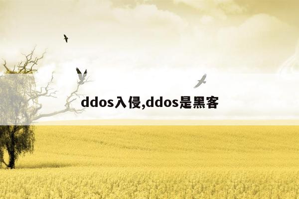 ddos入侵,ddos是黑客