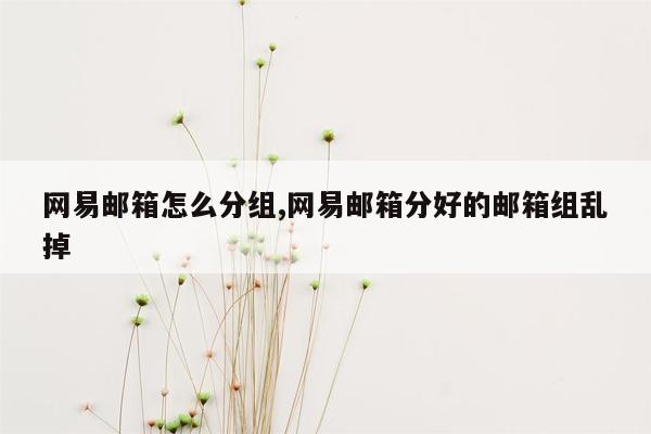 网易邮箱怎么分组,网易邮箱分好的邮箱组乱掉