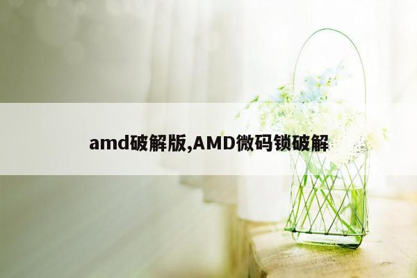 amd破解版,AMD微码锁破解