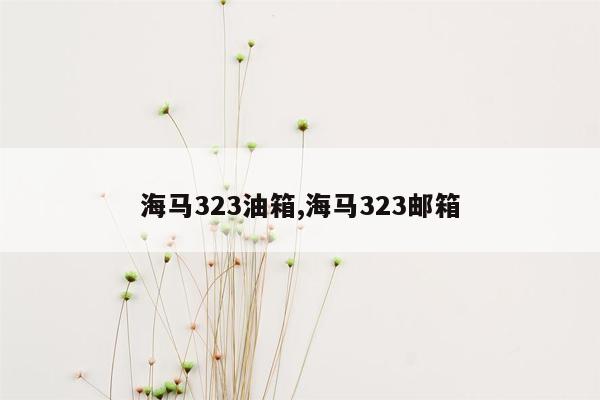 海马323油箱,海马323邮箱