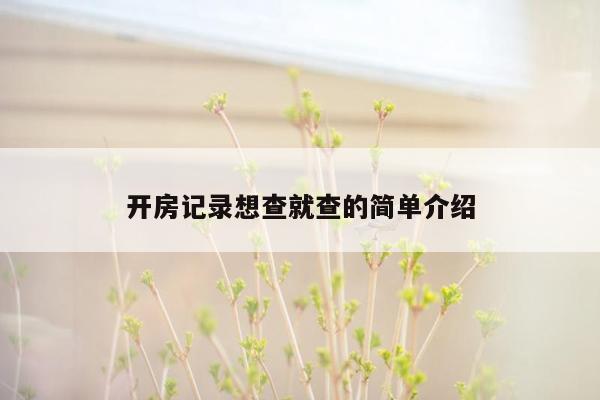 开房记录想查就查的简单介绍