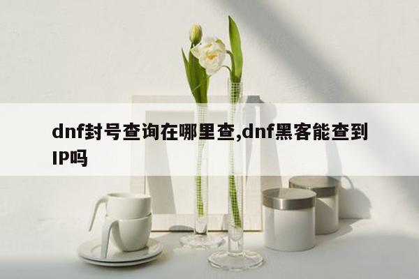 dnf封号查询在哪里查,dnf黑客能查到IP吗