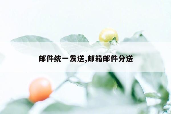 邮件统一发送,邮箱邮件分送