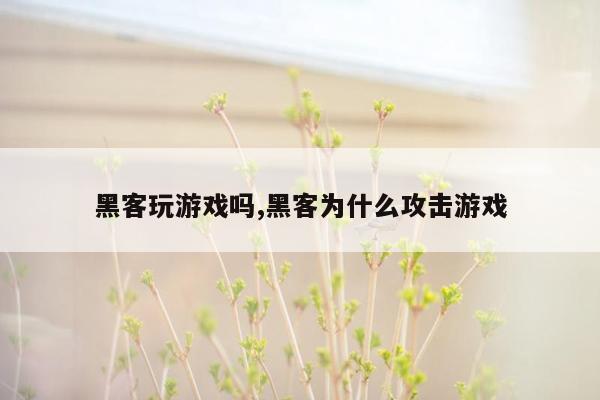 黑客玩游戏吗,黑客为什么攻击游戏