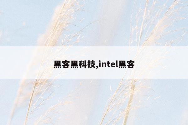 黑客黑科技,intel黑客