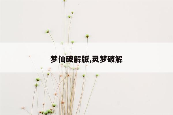 梦仙破解版,灵梦破解