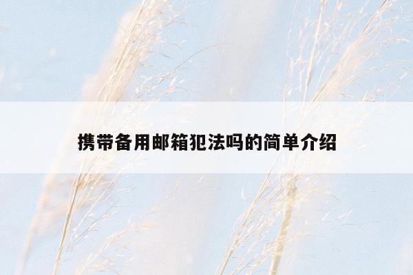 携带备用邮箱犯法吗的简单介绍