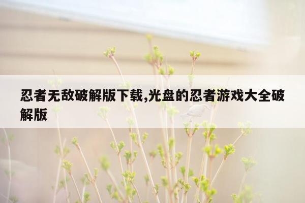 忍者无敌破解版下载,光盘的忍者游戏大全破解版