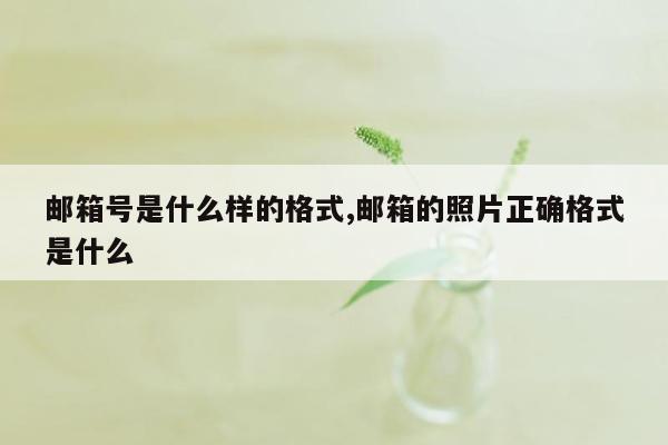 邮箱号是什么样的格式,邮箱的照片正确格式是什么