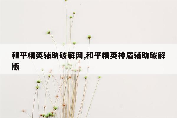 和平精英辅助破解网,和平精英神盾辅助破解版