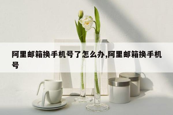 阿里邮箱换手机号了怎么办,阿里邮箱换手机号