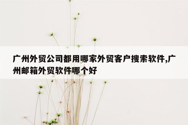 广州外贸公司都用哪家外贸客户搜索软件,广州邮箱外贸软件哪个好