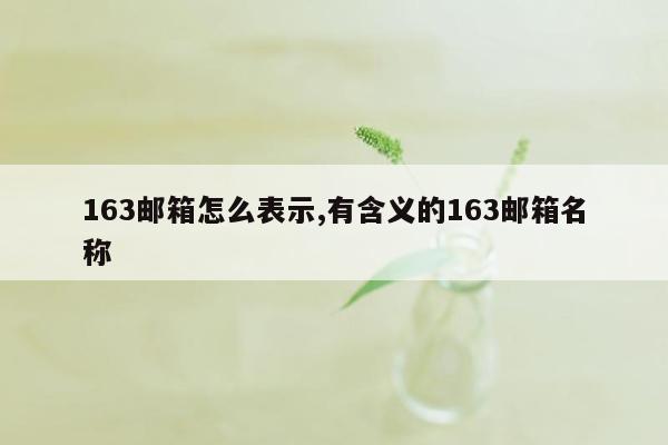 163邮箱怎么表示,有含义的163邮箱名称