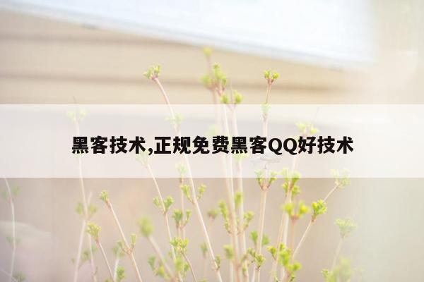 黑客技术,正规免费黑客QQ好技术