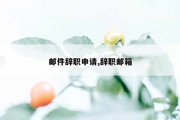 邮件辞职申请,辞职邮箱