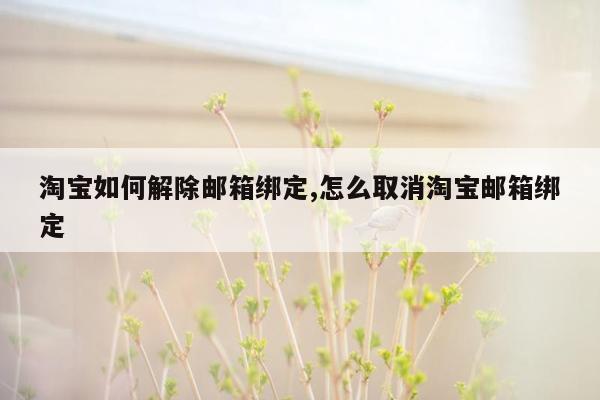 淘宝如何解除邮箱绑定,怎么取消淘宝邮箱绑定