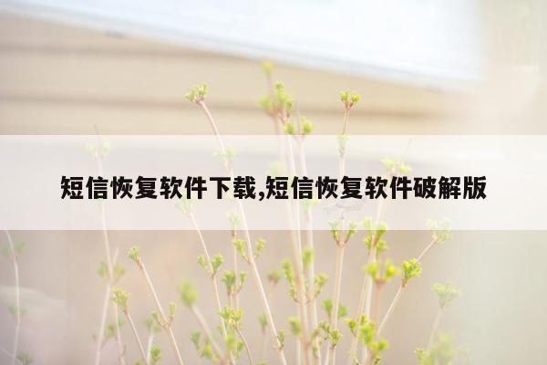 短信恢复软件下载,短信恢复软件破解版