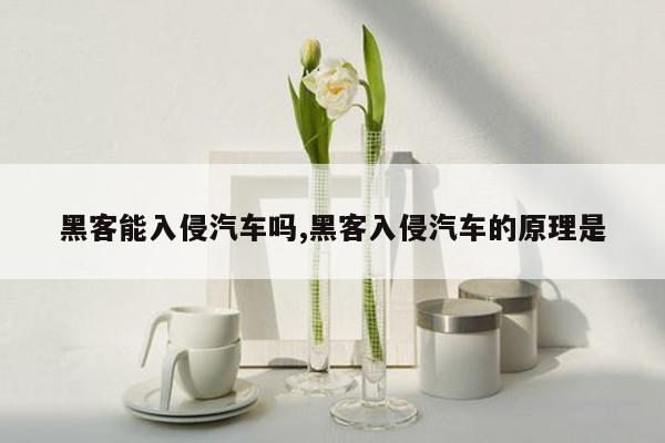 黑客能入侵汽车吗,黑客入侵汽车的原理是