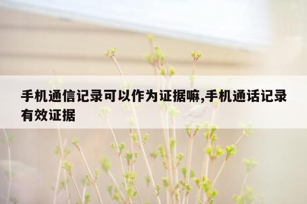 手机通信记录可以作为证据嘛,手机通话记录有效证据