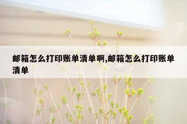 邮箱怎么打印账单清单啊,邮箱怎么打印账单清单