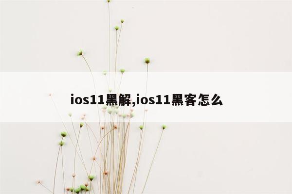 ios11黑解,ios11黑客怎么