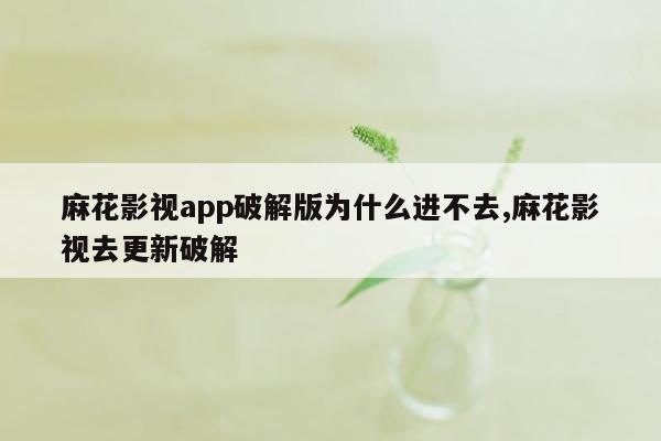 麻花影视app破解版为什么进不去,麻花影视去更新破解