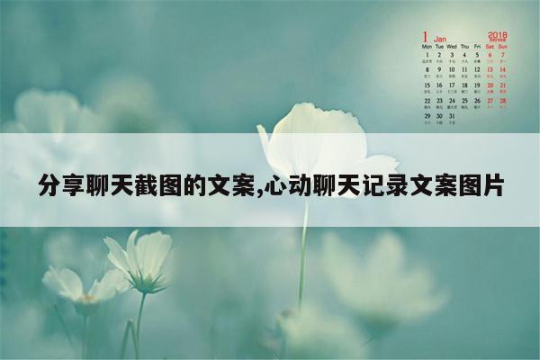 分享聊天截图的文案,心动聊天记录文案图片