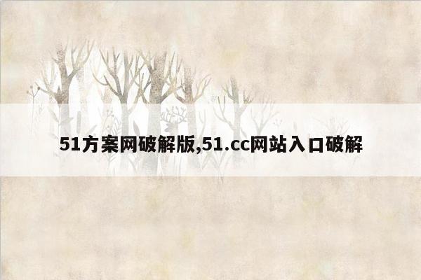 51方案网破解版,51.cc网站入口破解