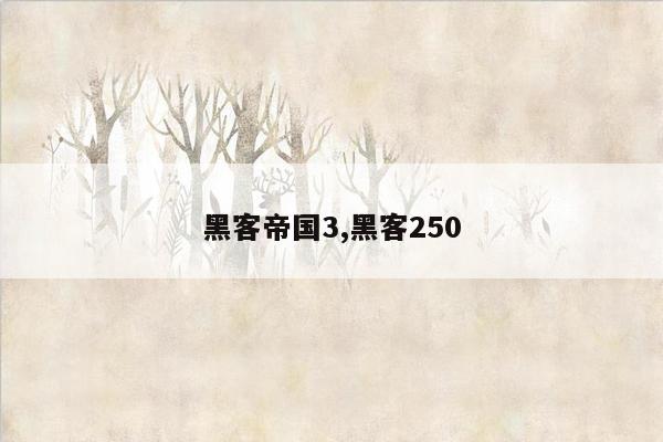 黑客帝国3,黑客250