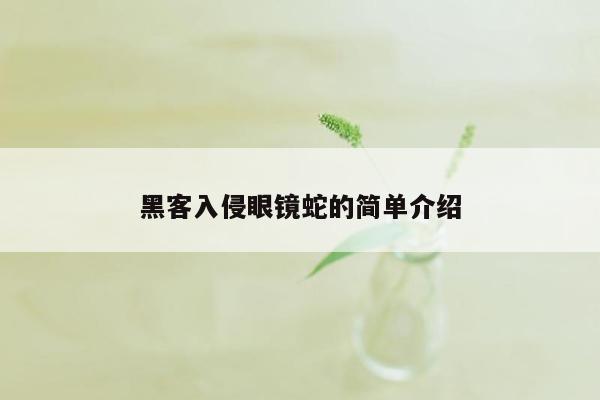 黑客入侵眼镜蛇的简单介绍