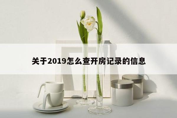 关于2019怎么查开房记录的信息