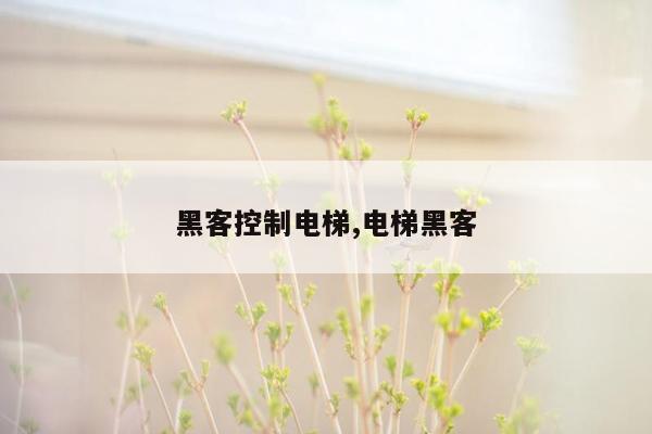 黑客控制电梯,电梯黑客