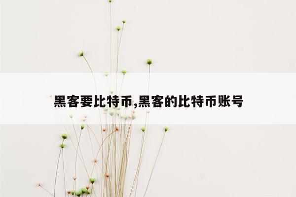 黑客要比特币,黑客的比特币账号