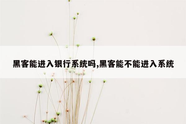 黑客能进入银行系统吗,黑客能不能进入系统