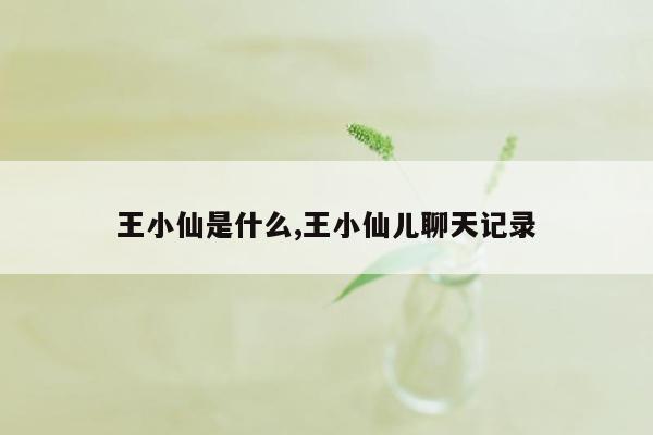 王小仙是什么,王小仙儿聊天记录