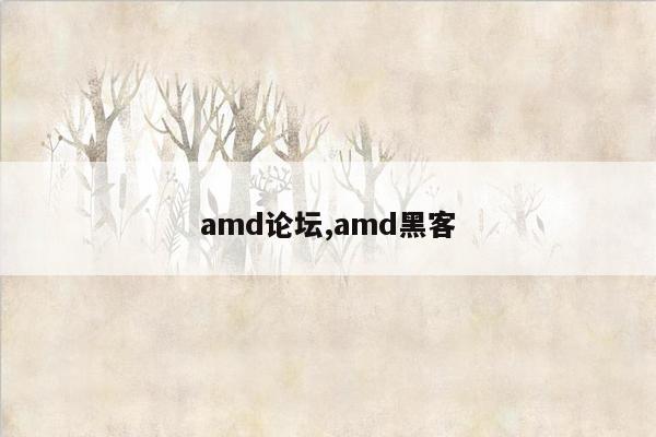 amd论坛,amd黑客