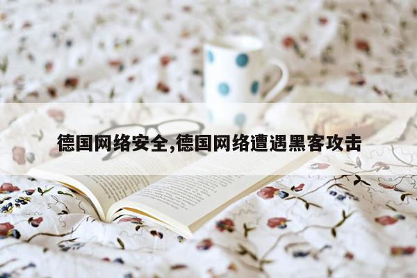 德国网络安全,德国网络遭遇黑客攻击