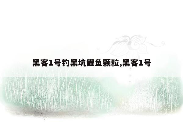 黑客1号钓黑坑鲤鱼颗粒,黑客1号