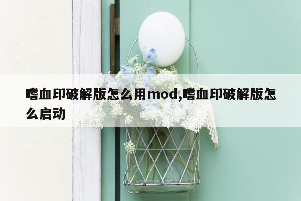 嗜血印破解版怎么用mod,嗜血印破解版怎么启动