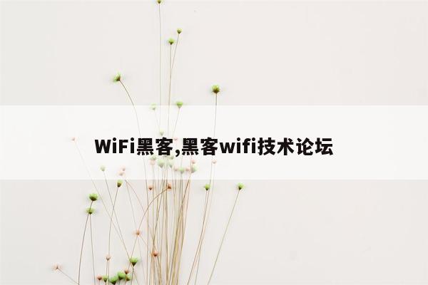 WiFi黑客,黑客wifi技术论坛