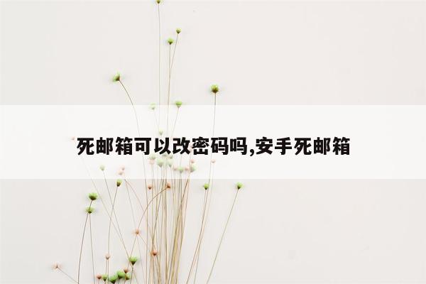 死邮箱可以改密码吗,安手死邮箱