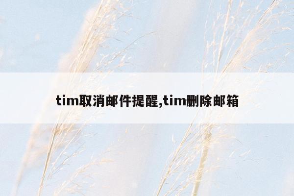 tim取消邮件提醒,tim删除邮箱