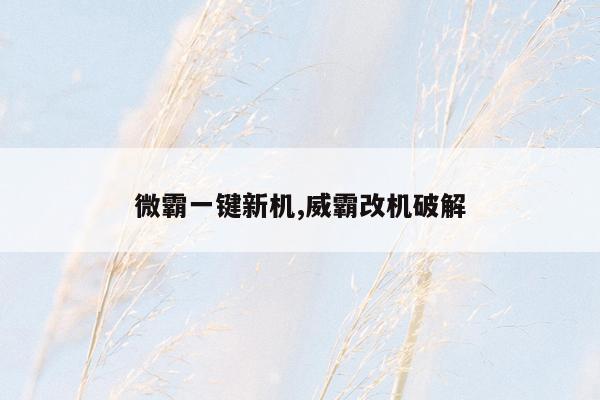 微霸一键新机,威霸改机破解