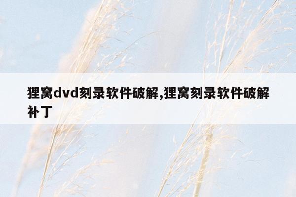 狸窝dvd刻录软件破解,狸窝刻录软件破解补丁