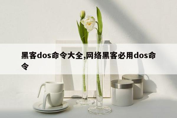 黑客dos命令大全,网络黑客必用dos命令