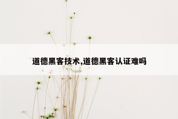 道德黑客技术,道德黑客认证难吗