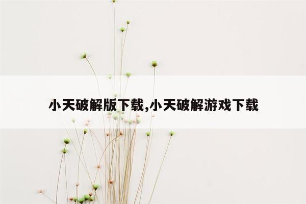 小天破解版下载,小天破解游戏下载