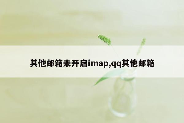 其他邮箱未开启imap,qq其他邮箱